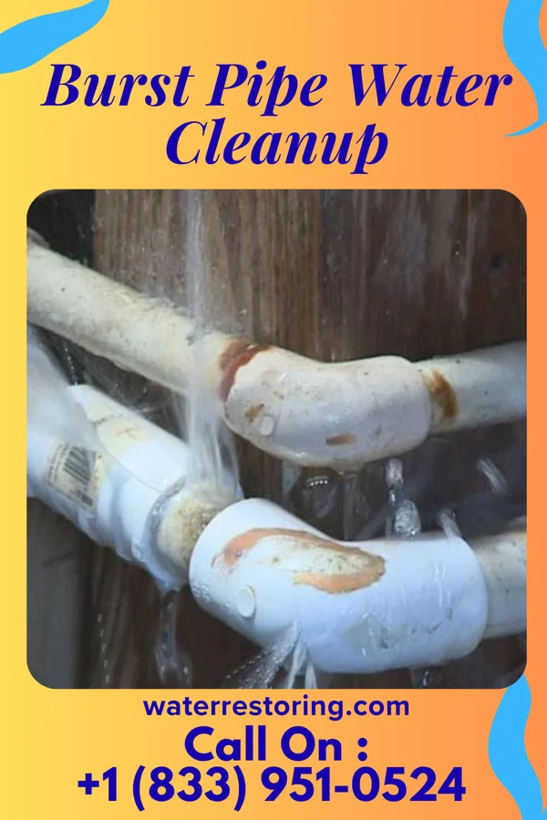 Burst Pipe Water Cleanup in Brent, FL