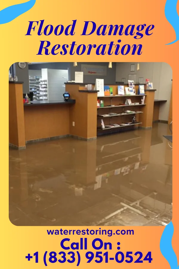 Flood Damage Restoration in Brent, FL