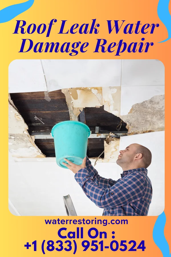 Roof Leak Water Damage Repair in Brent, FL